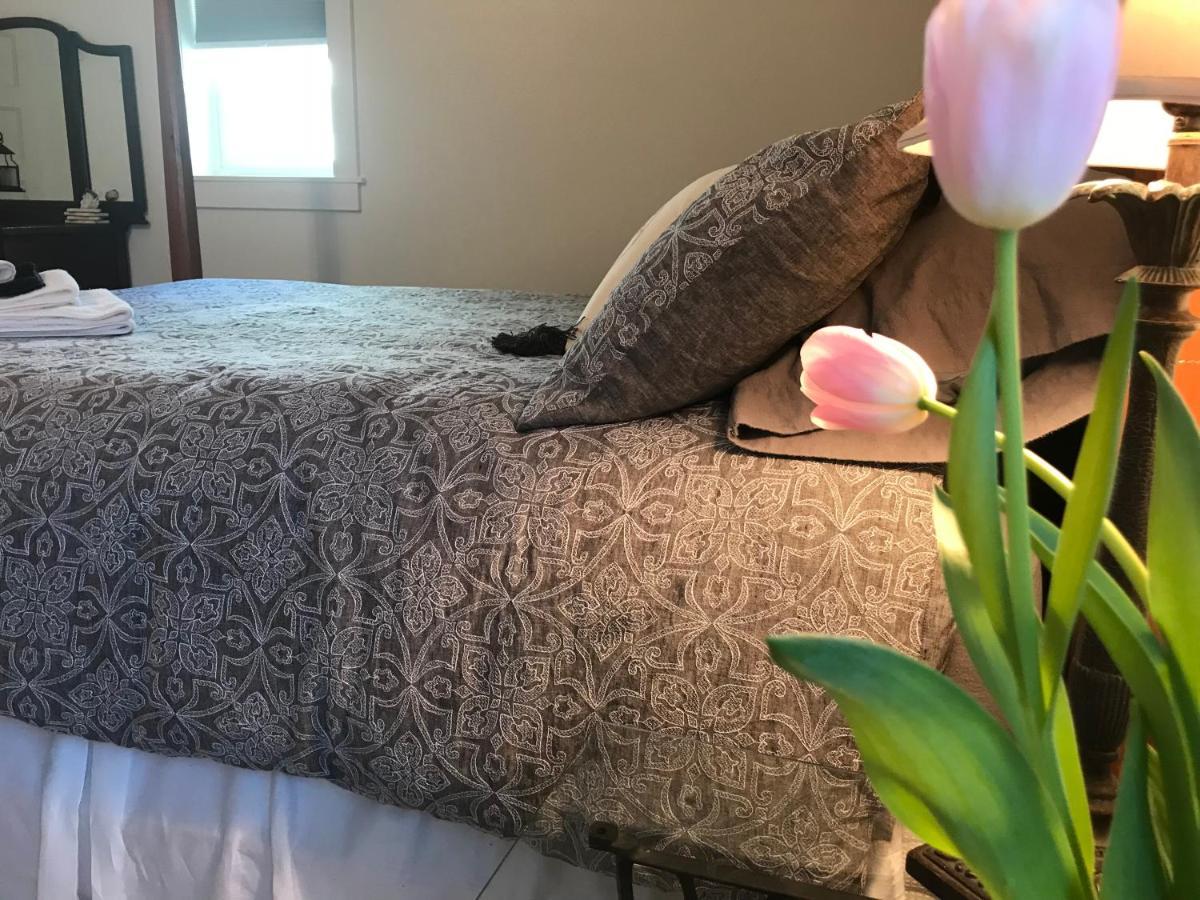 Snowgoose Pond Bed & Breakfast Palmer Exteriör bild